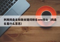 利用网盘名称做关键词排名seo优化（网盘名是什么意思）